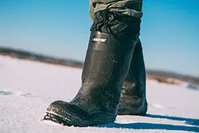 Зимние сапоги  Обувь